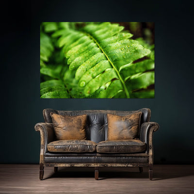 Fern Calm Artwork