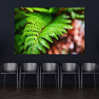 Fern Relaxing Wall Art