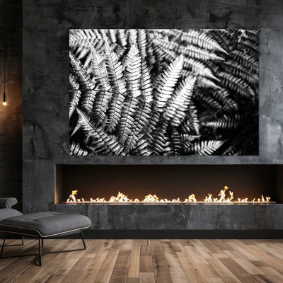 Black and White Ferns Art Print - Calming Spa-Inspired Decor