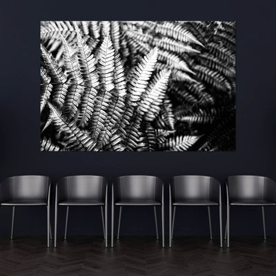 Black and White Ferns Art Print - Calming Spa-Inspired Decor