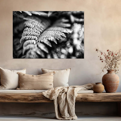 Black and White Fern Art Prints