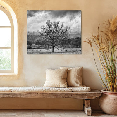 black and white rustic wall art prints