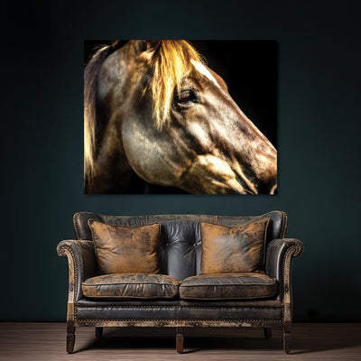 horse decor