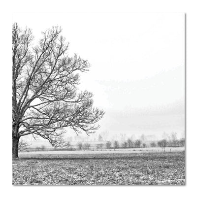 Black and White Winter Tree Art Print