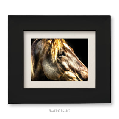Fine Art Farm Horse Artwork