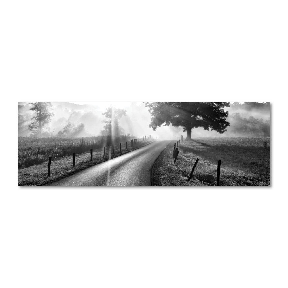 Black and White Country Road Landscape Artwork
