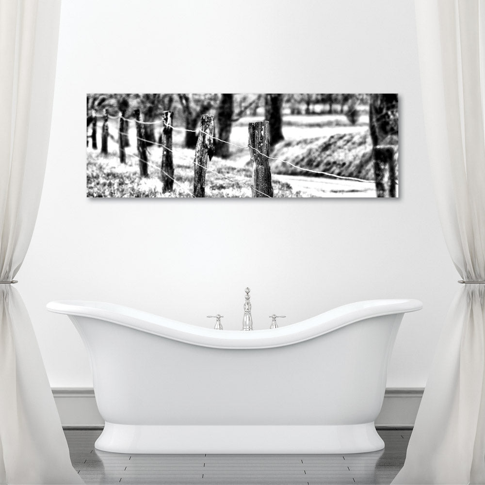 Black and White Fence Art Prints